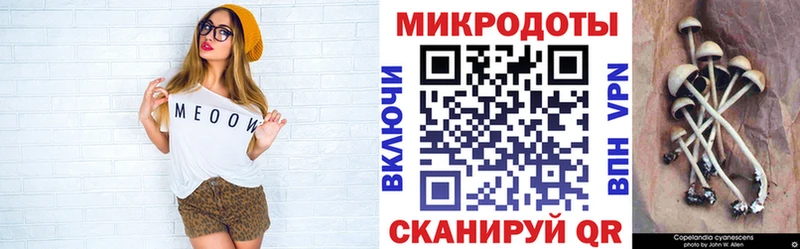 как найти наркотики  Чусовой  Псилоцибиновые грибы Cubensis 
