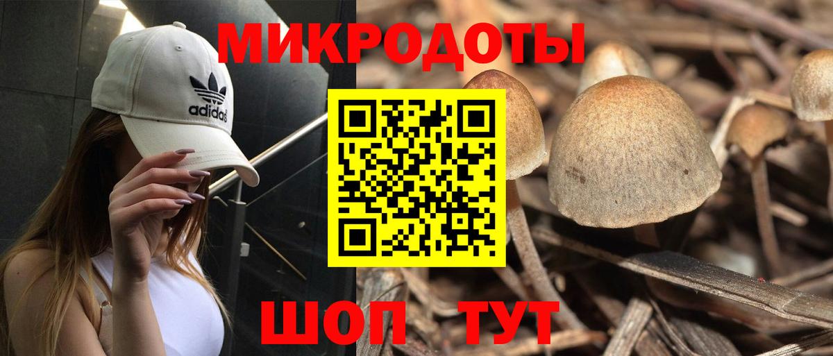 Псилоцибиновые грибы GOLDEN TEACHER Чусовой